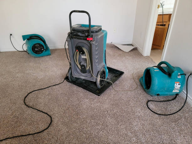 Best Water damage contractors near me  in Cedar Springs, MI