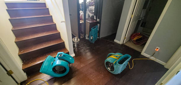 Best Local water damage restoration  in Cedar Springs, MI