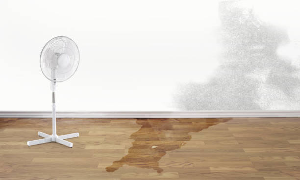 Best Commercial water damage restoration  in Cedar Springs, MI
