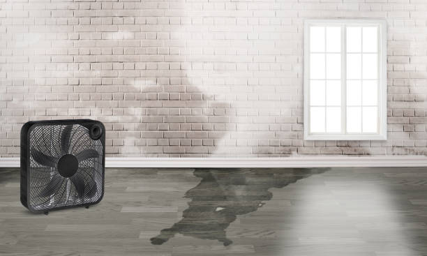  Cedar Springs, MI Water damage restoration Pros