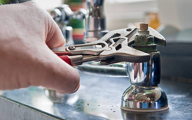 Best Water damage cleanup near me  in Cedar Springs, MI