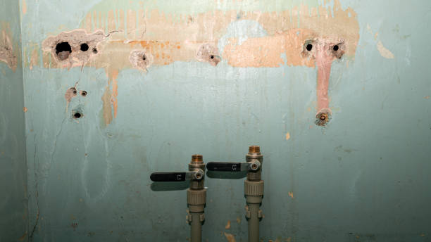 Best Emergency water damage restoration  in Cedar Springs, MI