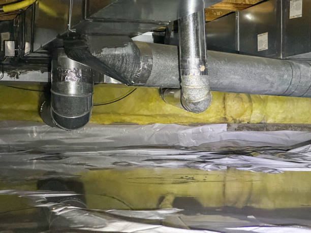 Local water damage restoration in Cedar Springs, MI
