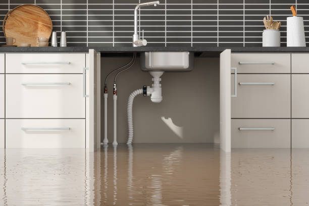 Best Fire Damage Restoration  in Cedar Springs, MI