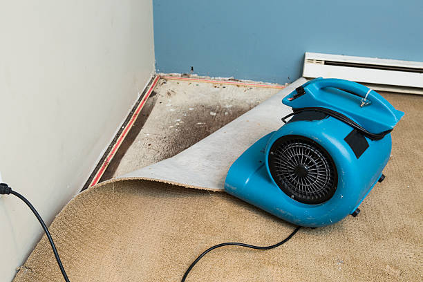 Best 24/7 water damage repair  in Cedar Springs, MI