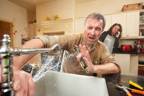 Best Flooded house restoration  in Cedar Springs, MI